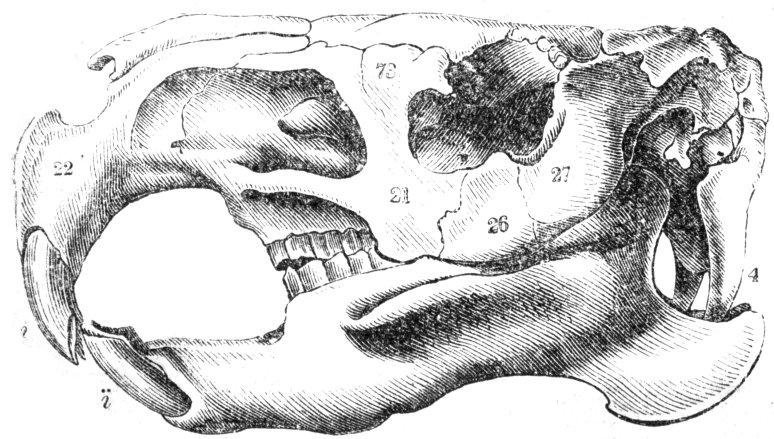 Image1